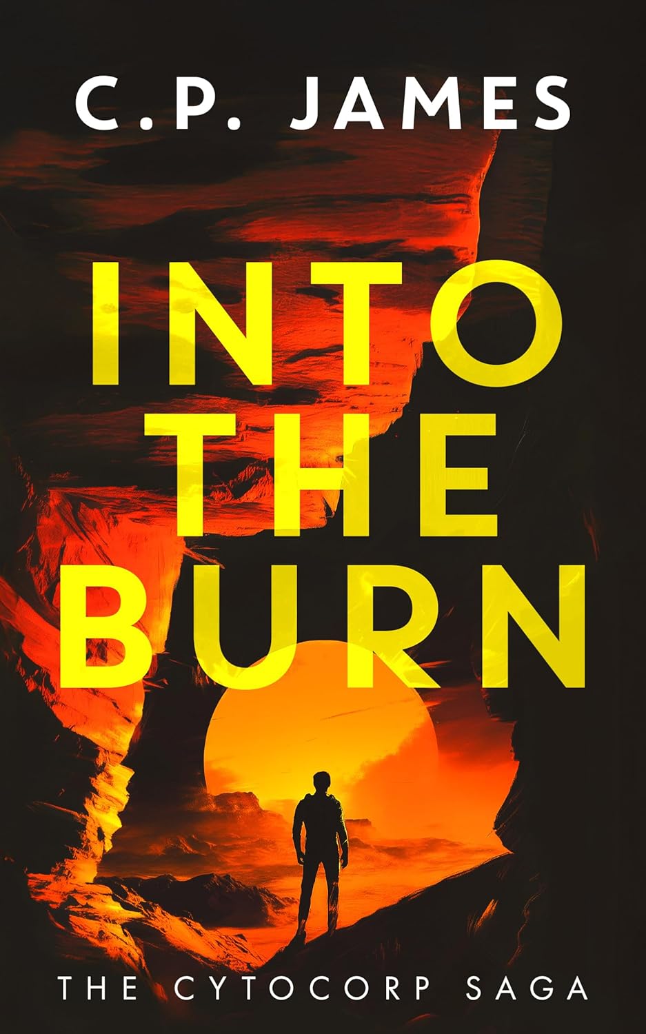 Into the Burn cover